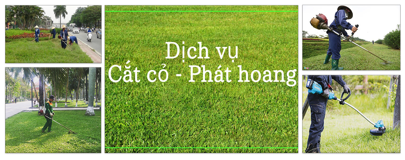 dịch vụ cắt cỏ phát hoang tại Hồ Chí Minh