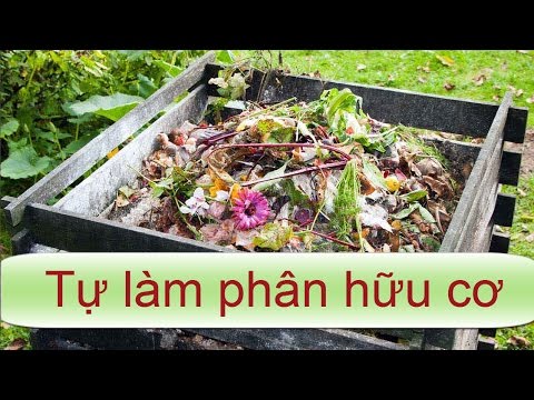 tự làm phân hữu cơ