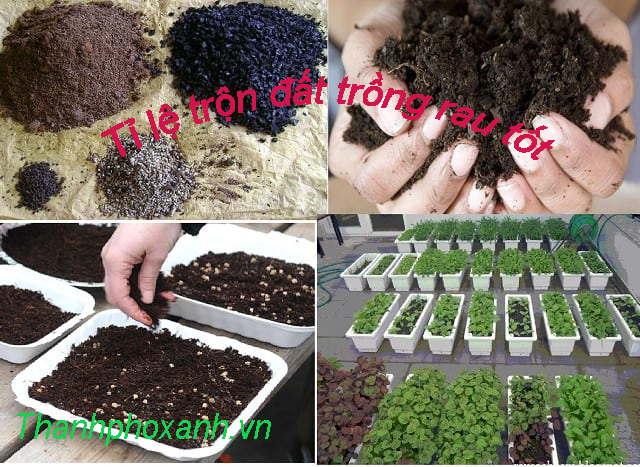 Cách trộn đất để trồng rau cải