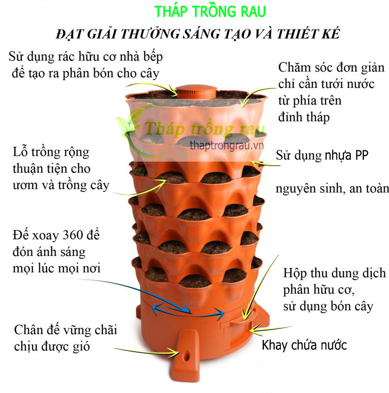 cau-tao-thap-trong-rau
