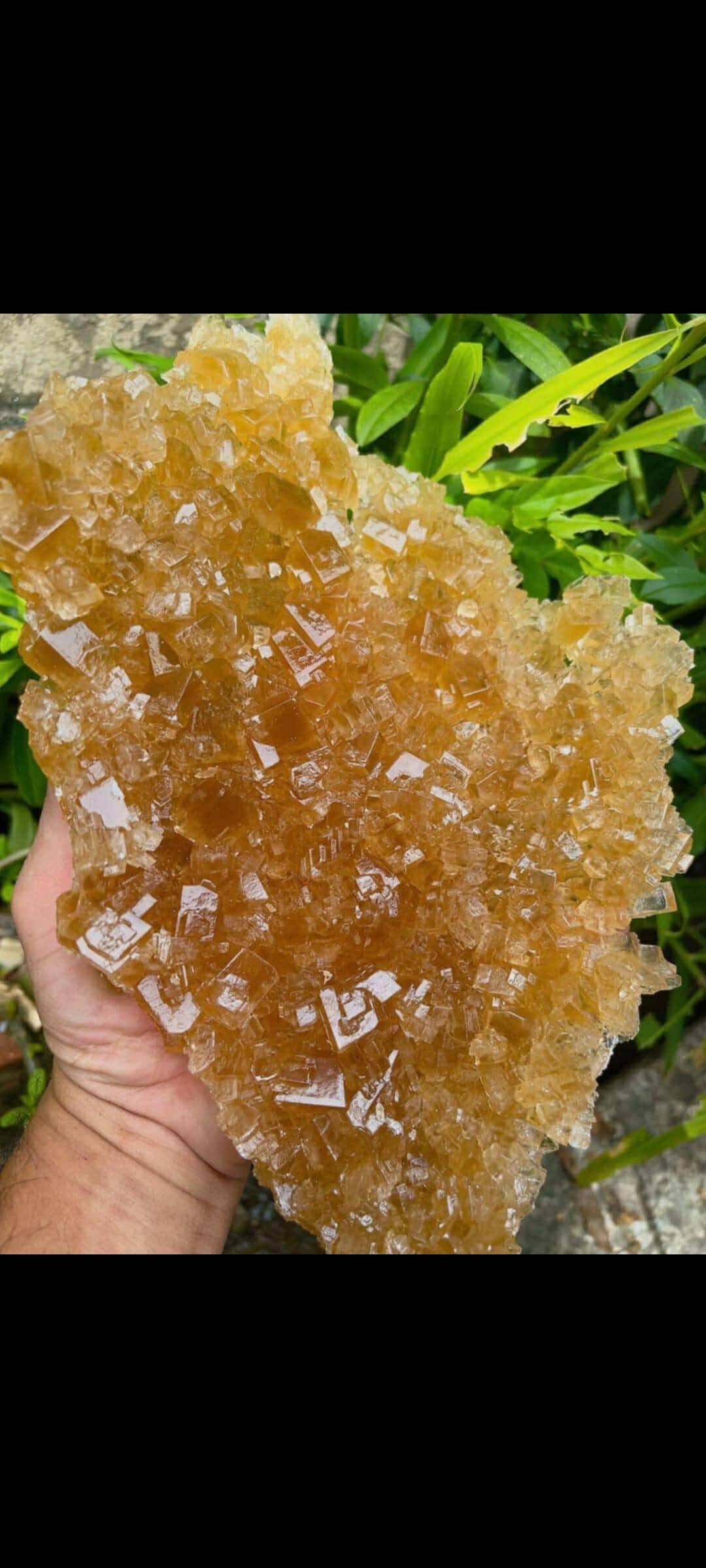 ng phèn tảng