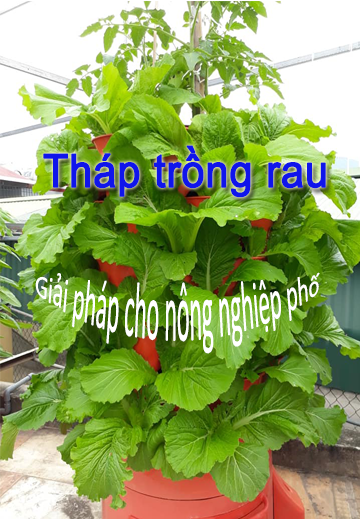 Tháp rau hữu cơ Eco tại  thành phố Hồ Chí Minh