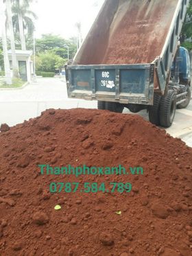 Cung cấp đất đỏ Bazan, đất thịt trồng cây, trồng rau tại  HCM.