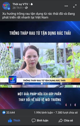 Mô hình trồng rau tận dụng rác hữu cơ