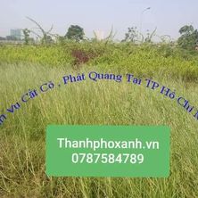 cắt cỏ thành phõ xanh