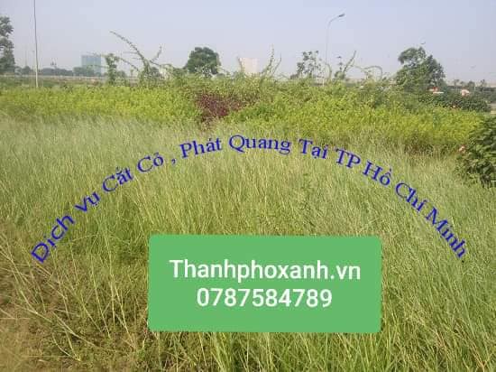 Nhận cắt cỏ , phát quang