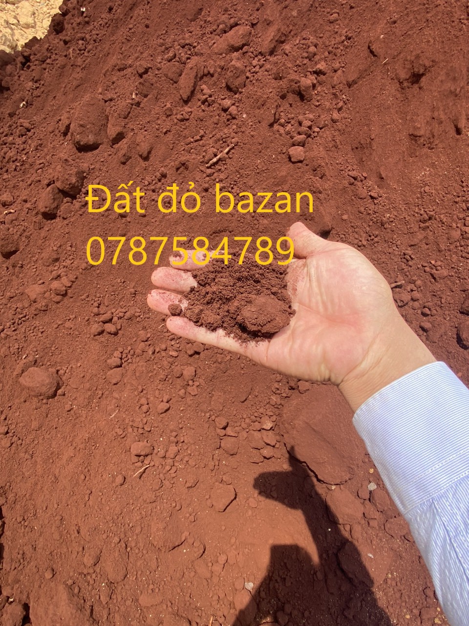 cung cấp đất đỏ bazan, đất thịt (đất thịt bazan),