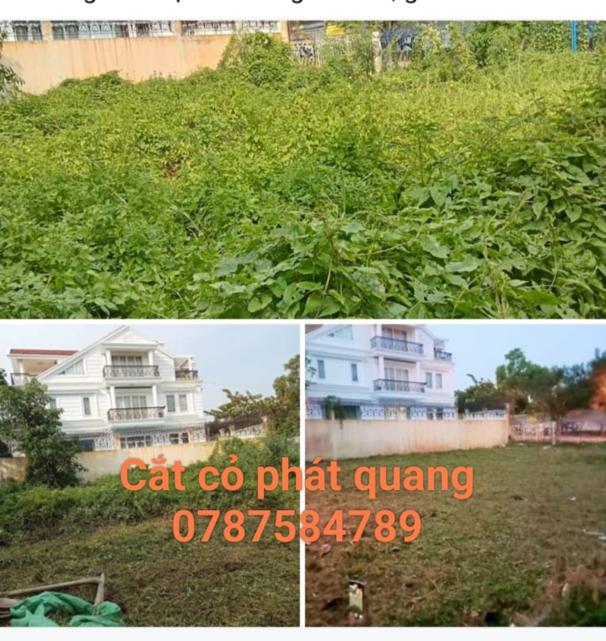 Dịch vụ cắt cỏ  phát  quang thu gom rác khu công nghệ cao TP HCM