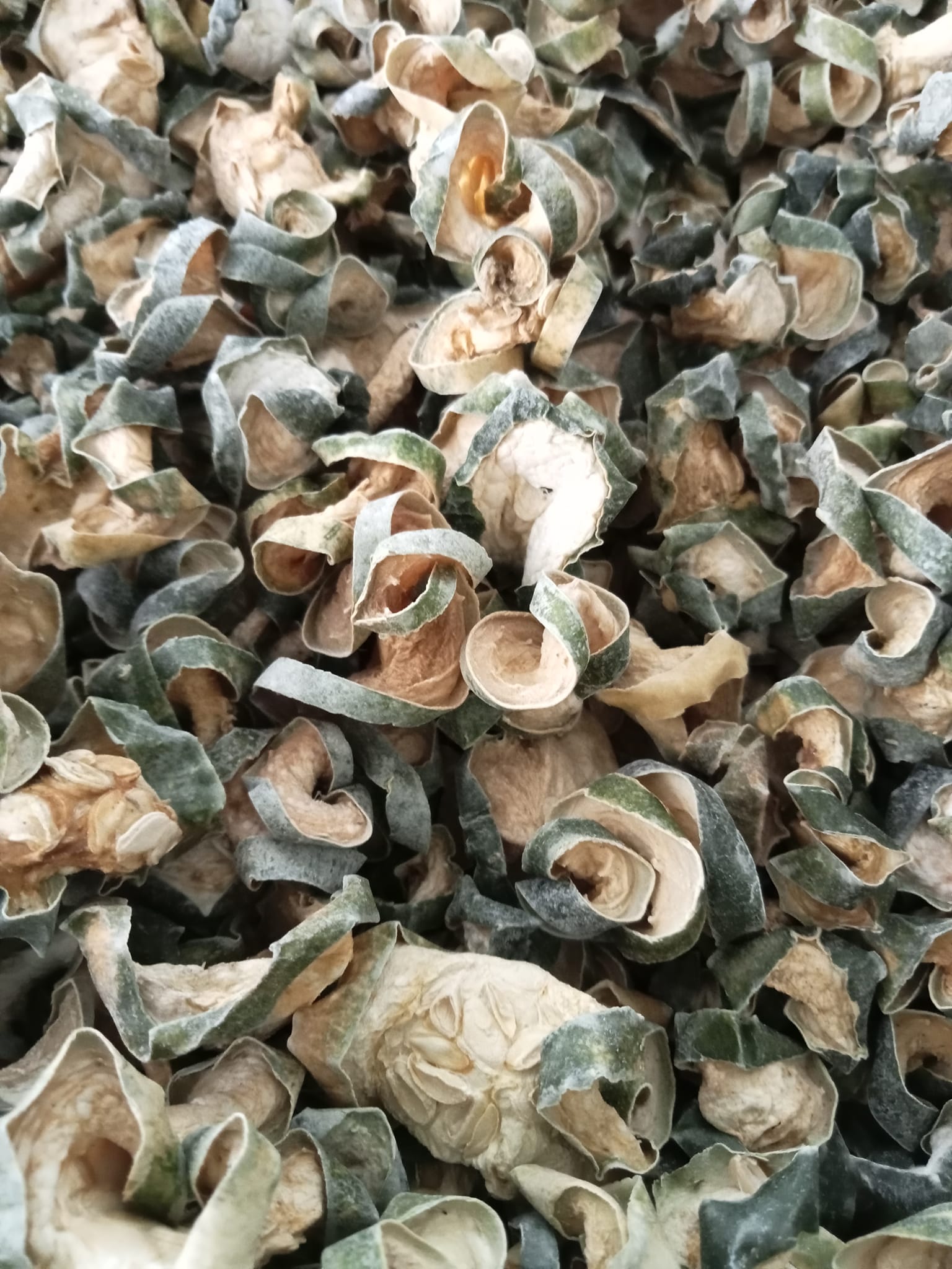 Bi-dao-kho-nghe-