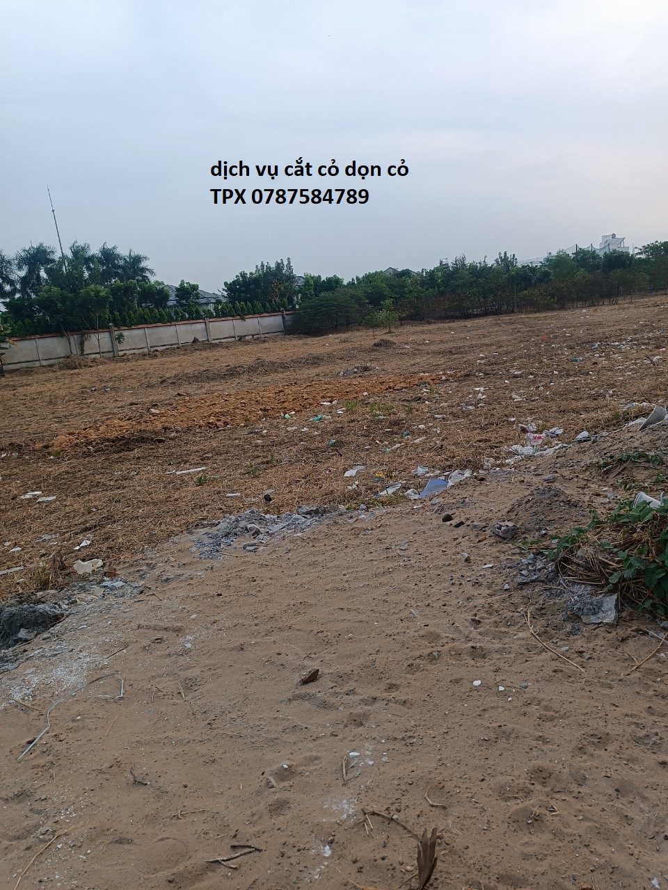 dịch-vu-cat-co