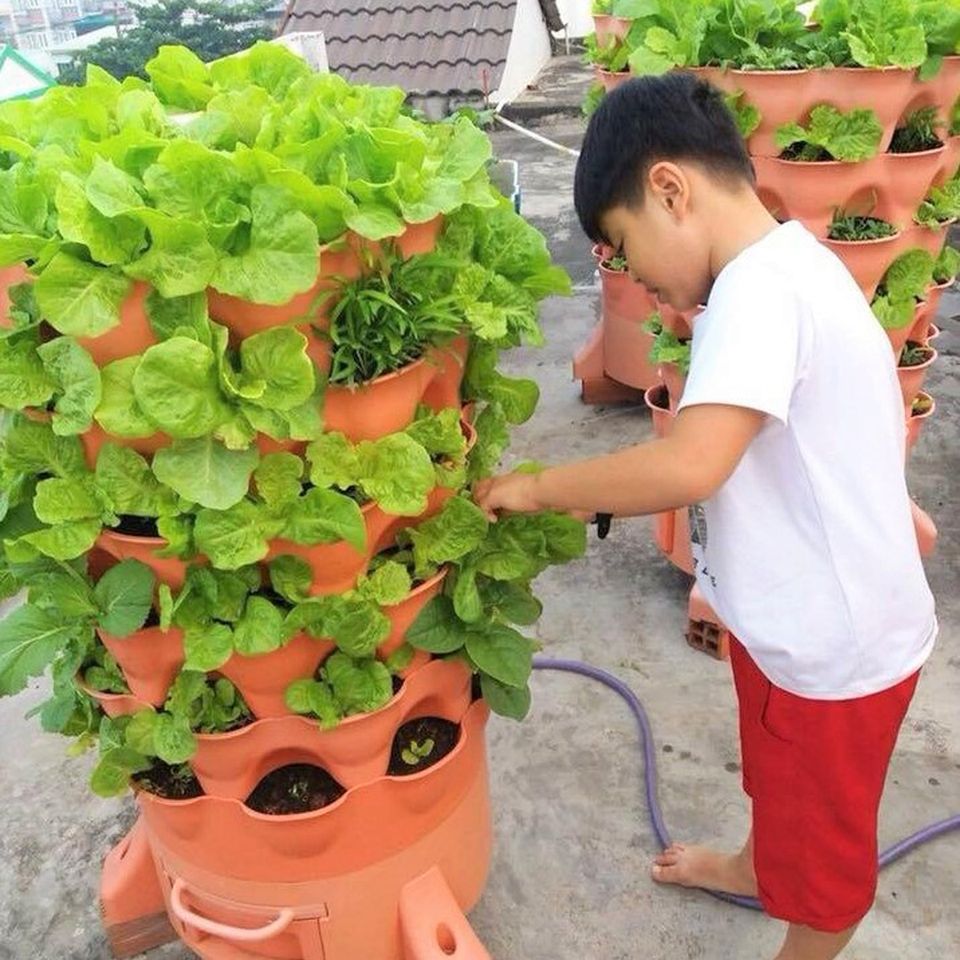 tháp trồng rau hữu cơ