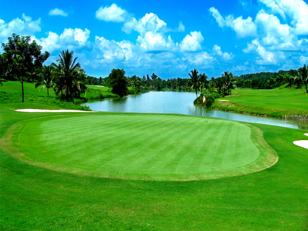 Dự án trồng cỏ sân golf Đồng Nai